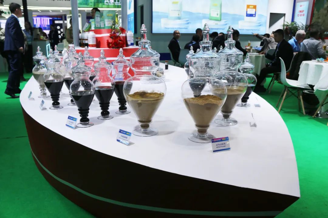 金牌赞助企业ky开元生物全新亮相上海CAC国际农化展，以科技实力献礼25周年