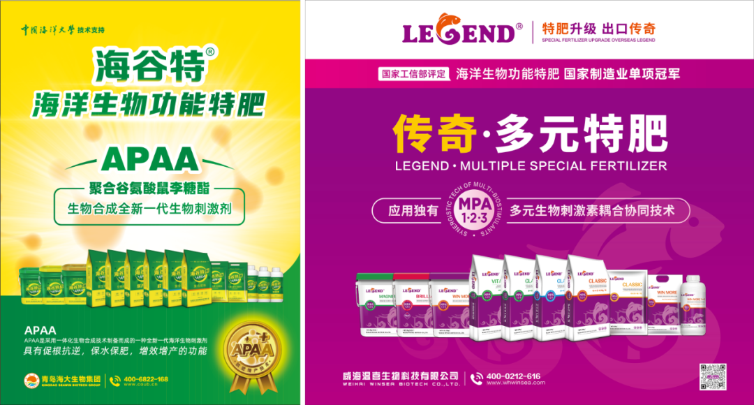 助力国际特肥行业发展，ky开元生物集团荣获三项大奖